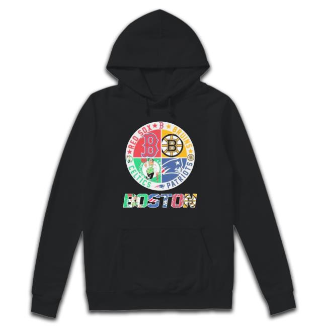 Boston fan Red Sox Bruins Celtics New England Patriots shirt, hoodie,  sweater, long sleeve and tank top