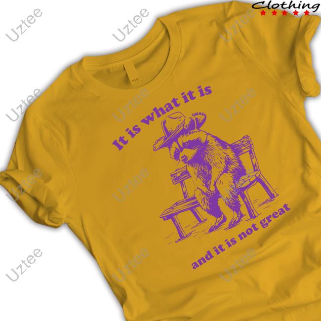 Slippywild It Is What It Is And It Is Not Great Tee Slippywild It Is What It Is And It Is Not Great Tee