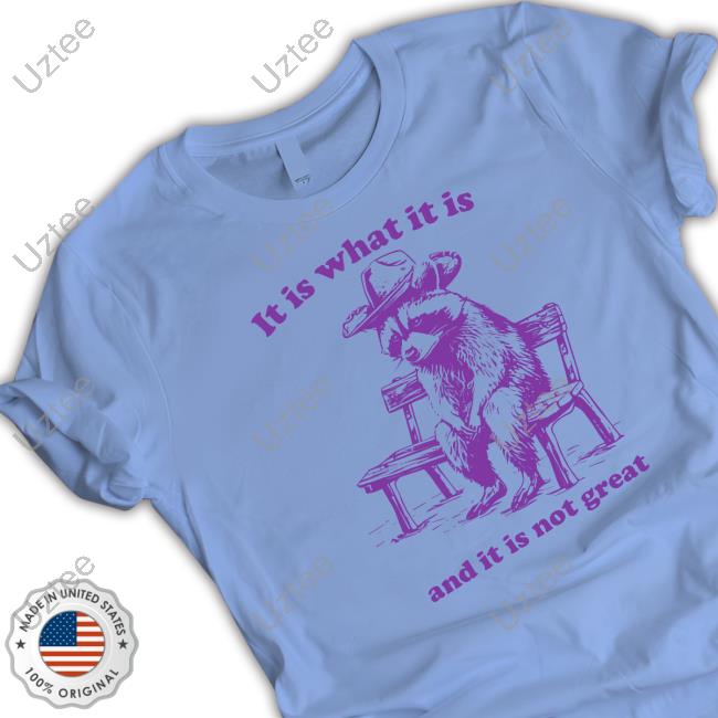 Slippywild It Is What It Is And It Is Not Great Tee Slippywild It Is What It Is And It Is Not Great Tee