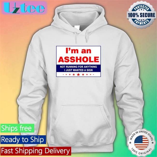 I'm An Asshole Not Running For Anything I Just Wanted A Sign Shirts