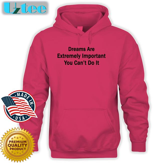 Translatedtees Dreams Are Extremely Important You Can't Do It Hoodie