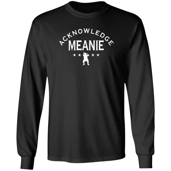 Acknowledge Meanie Shirt Hoodie Sweatshirt Prowrestlingtees Store