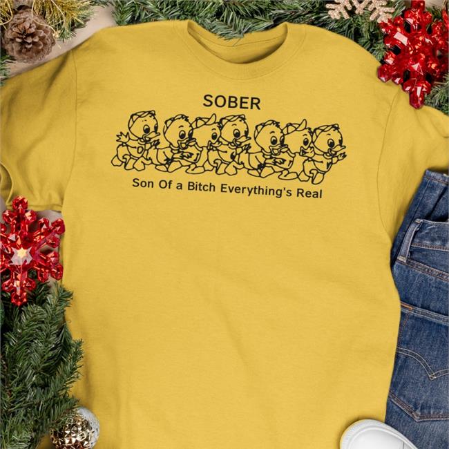 Sober Son Of A Bitch Everything's Real T Shirt Shirtsthtgohard White