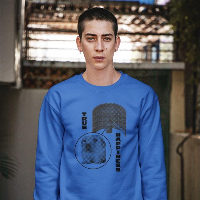 Henrystore True Happiness Panopticon Hoodie Henryjawnson