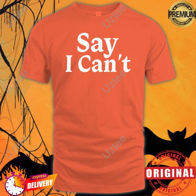 Dream On 3 Say I Can't New Shirt