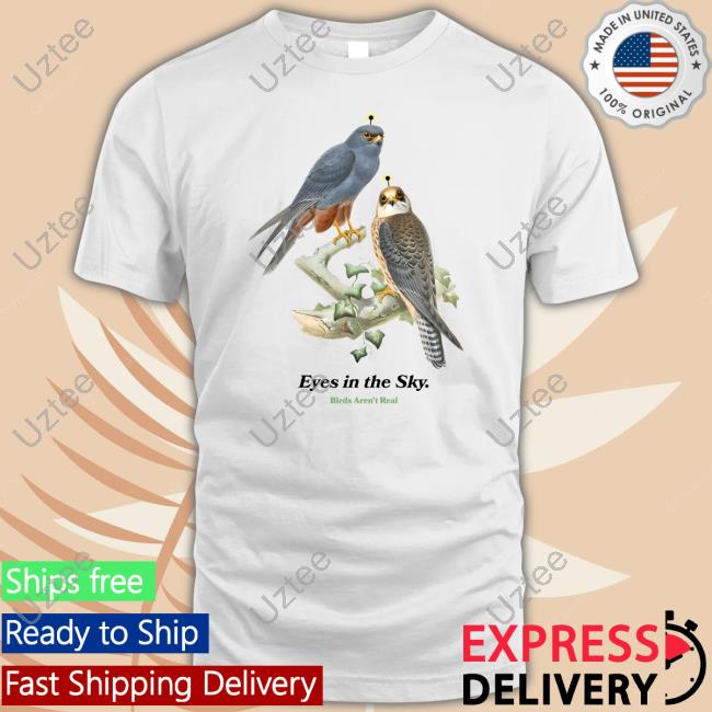Eyes In The Sky Birds Aren't Tee Real Birdsarentreal Merch