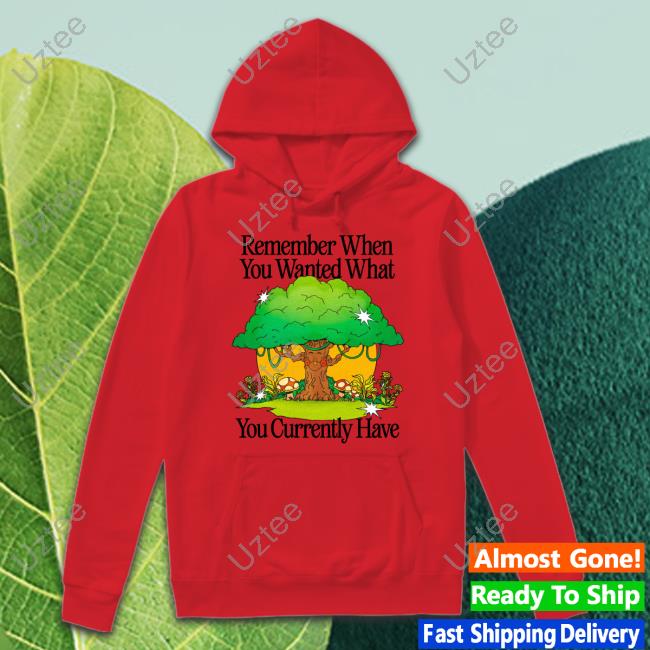Remember When You Wanted What You Currently Have Hoodie Madebynelson