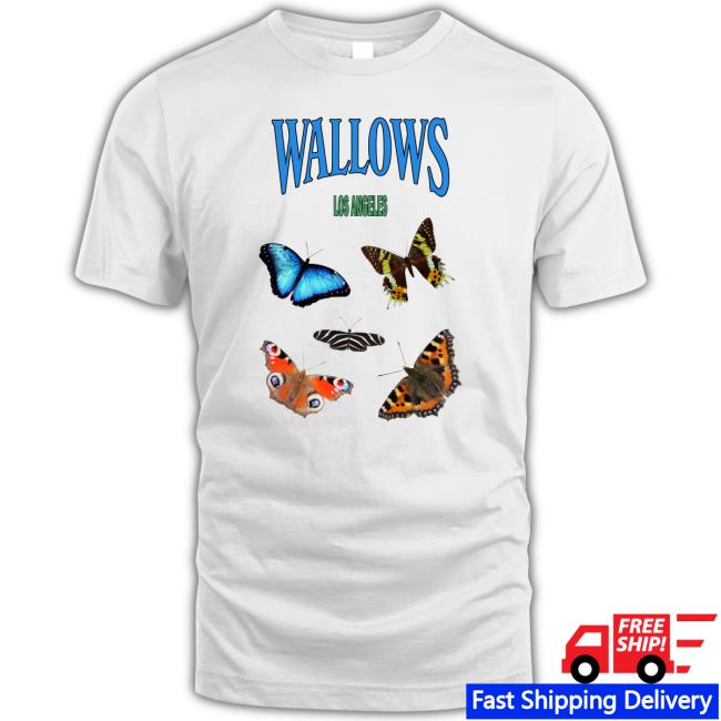 Wallows Butterflies Sweaters