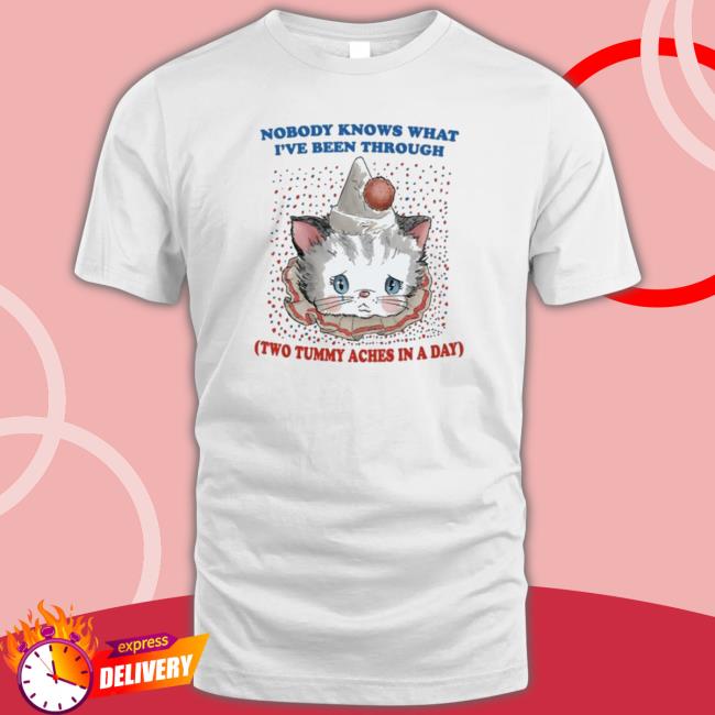 Official Cat Nobody Knows What I’Ve Been Through Two Tummy Aches In A Day Long Sleeve Shirt