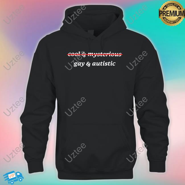 Gotfunnymerch Cool And Mysterious Gay And Autistic Hooded Sweatshirt