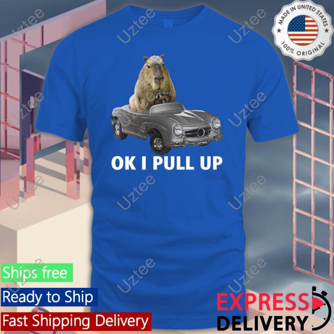 Capy Car Ok I Pull Up Tee Capybaraman