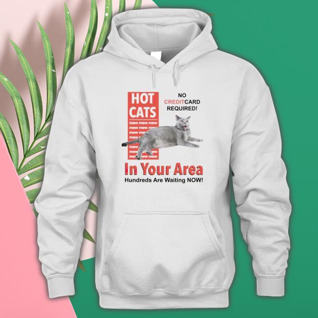 Hot Cats In Your Area Hundreds Are Waiting Now shirt, hoodie, tank top, sweater and long sleeve t-shirt
