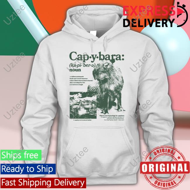 Capybara Man Defined Hoodie