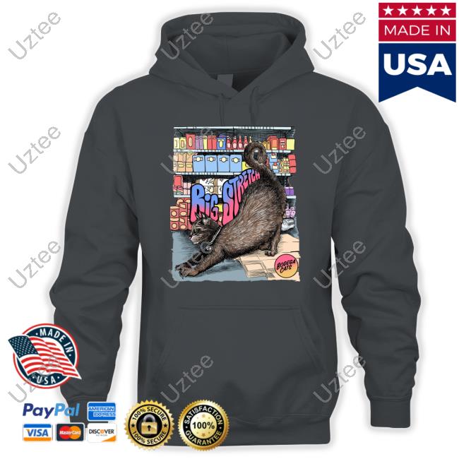 Big Stretch Hoodie Bodegacats Store