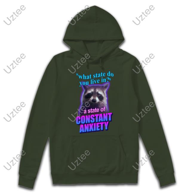 Snazzy Seagull Design What State Do You Live In A State Of Constant Anxiety Raccoon New Shirt