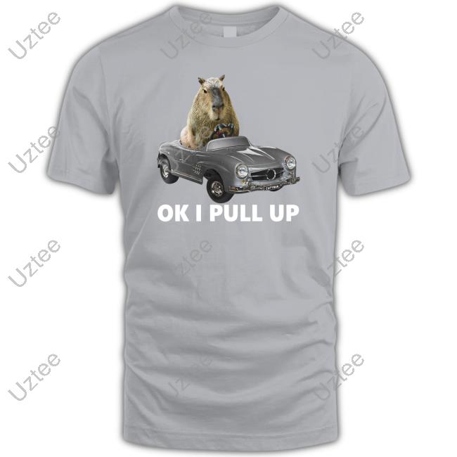 Capybara Car Sweatshirt Capy Man Car Shirt