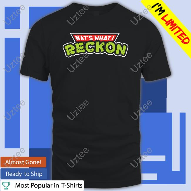Natswhatireckon Merch Nwir Turtles Throwback Hoodie Sweatshirt