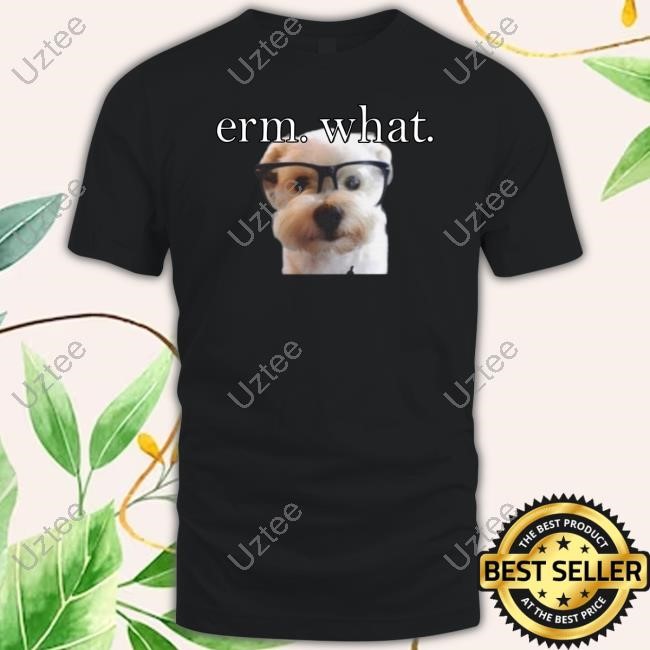 Slayworldalbania Erm What Nerd Dog New Shirt