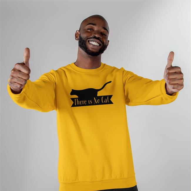 There Is No Cat Shirt Hoodie Rawpaw Store