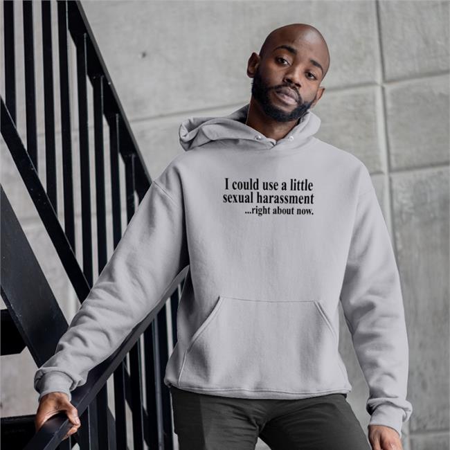I Could Use A Little Sexual Harassment Right About Now Tee Shirt