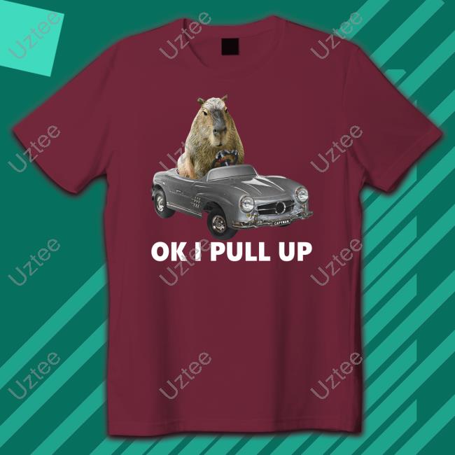 Capybara Car Sweatshirt Capy Car Shirt