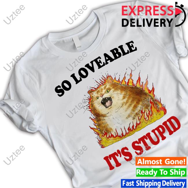 Jmcgg So Loveable It's Stupid Hooded Sweatshirt