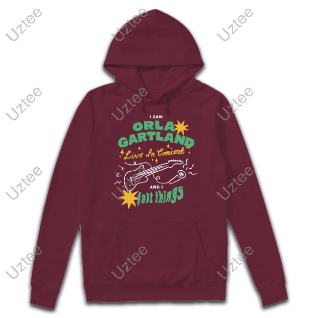 Orla Gartland Merch I Saw Orla Gartland Live In Concert And I Felt Things Sweatshirt